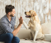 Happy guy sitting on a sofa and looking at dog