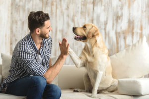 Happy guy sitting on a sofa and looking at dog