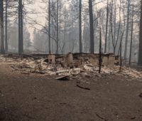 California Wildfire Survivors