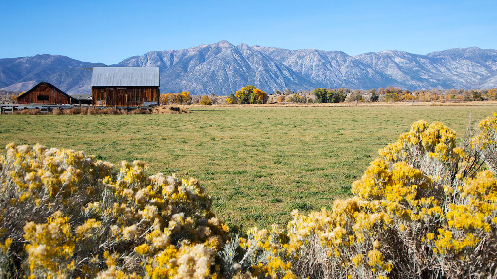 Day trips from Reno - Carson Valley