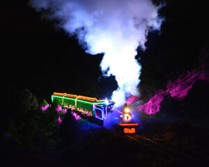 Electric Holiday Train O Lights - December Calendar Of Events In Reno