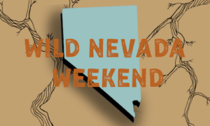 Wild Nevada Weekend