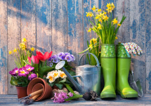 Gardening in Reno - Tools and Flowers
