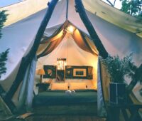 Camping near Reno - Glamping