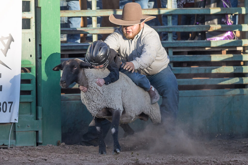 Reno Rodeo - Mutton Busting