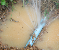 Broken Water Pipe in yard