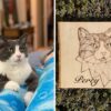 Gray and white cat on left of the image and a wood burned image of the cat on the right.