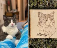 Gray and white cat on left of the image and a wood burned image of the cat on the right.