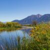 Carson riverbank in Carson Valley, NV