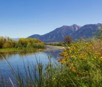 Carson riverbank in Carson Valley, NV